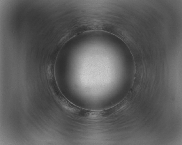 X0000073450088200607281232