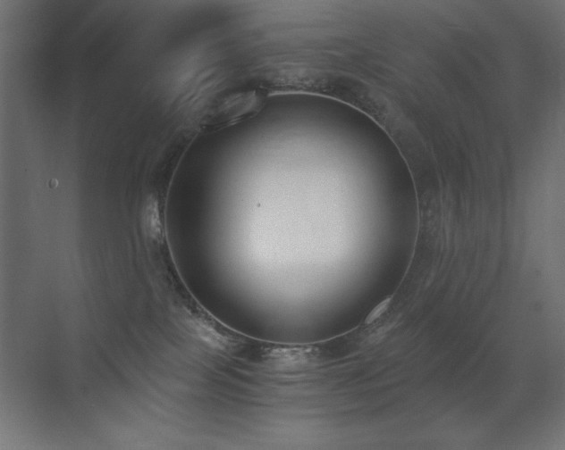 X0000073450089200607281232