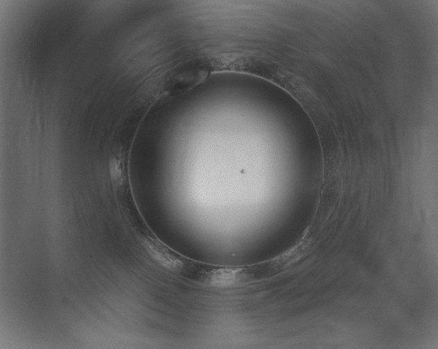 X0000073450090200607281232