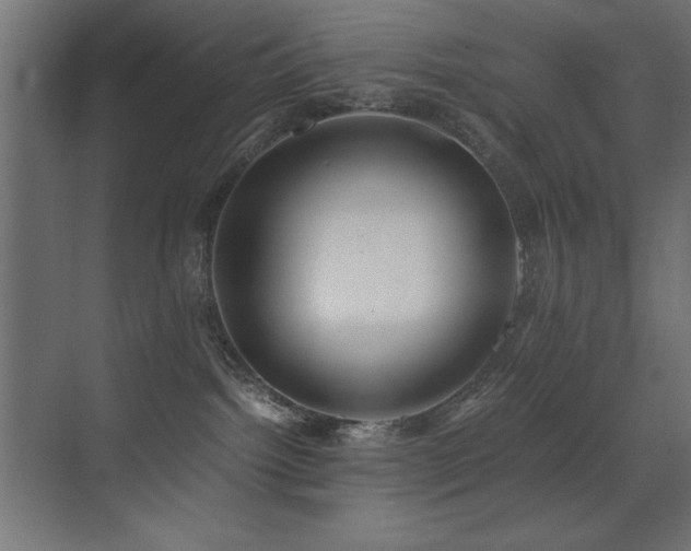 X0000073450092200607281232