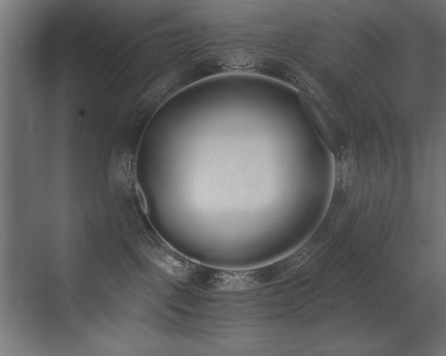 X0000073450093200607281232