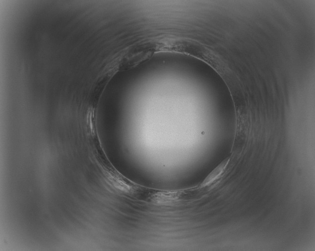 X0000073450094200607281232