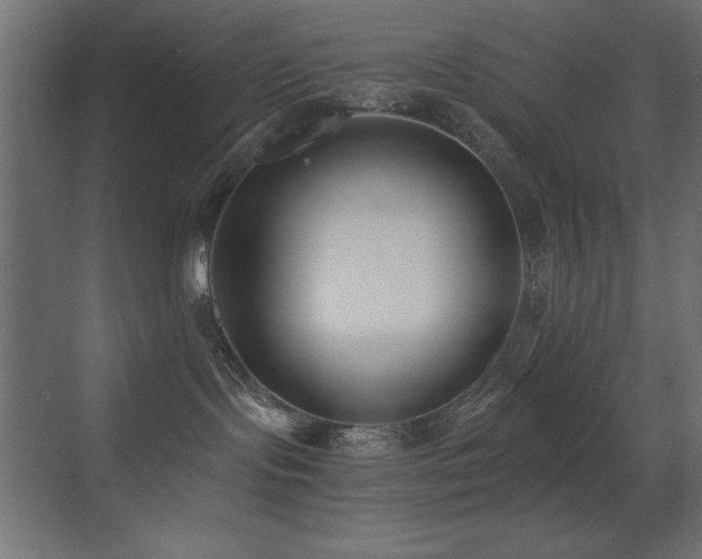 X0000073450095200607281232