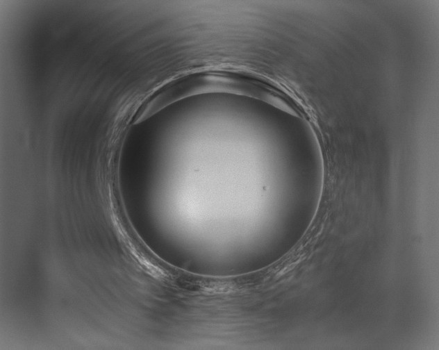 X0000073450097200607281231