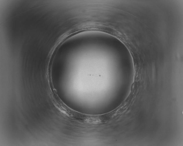 X0000073450099200607281231