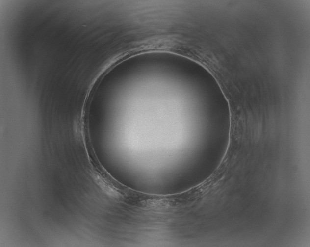 X0000073450100200607281231