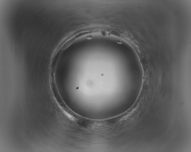 X0000073450101200607281231