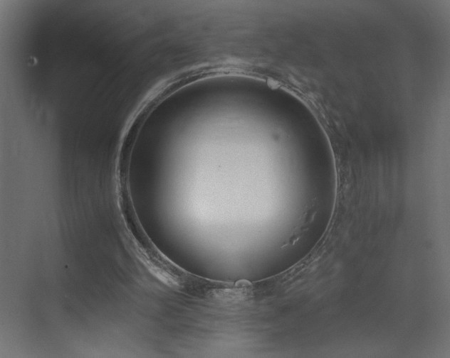 X0000073450102200607281231