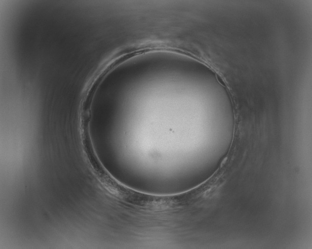 X0000073450103200607281231