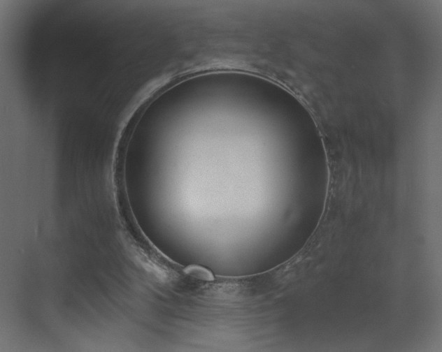 X0000073450104200607281231