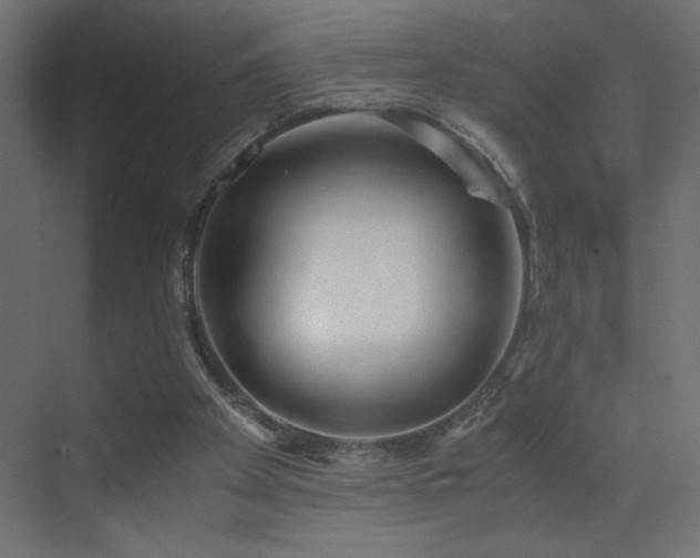 X0000073450105200607281231