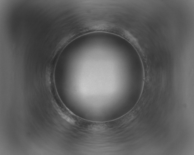 X0000073450106200607281231