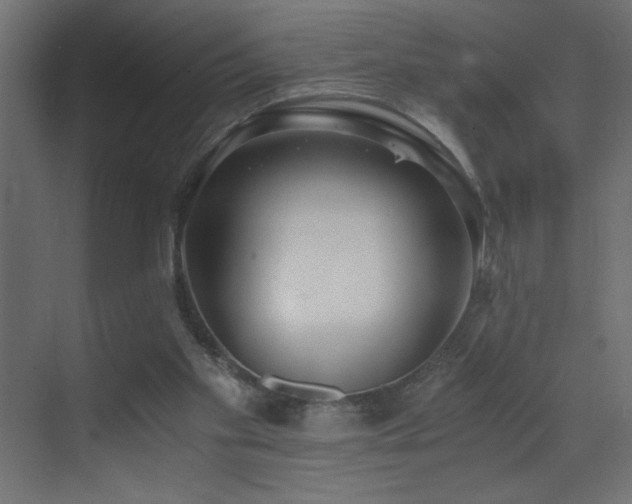 X0000073450109200607281231