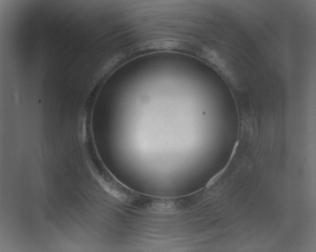 X0000073450110200607281231