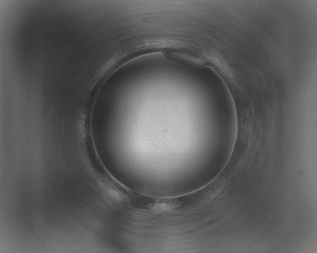 X0000073450111200607281231