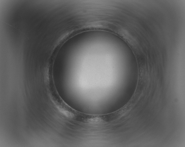 X0000073450112200607281231