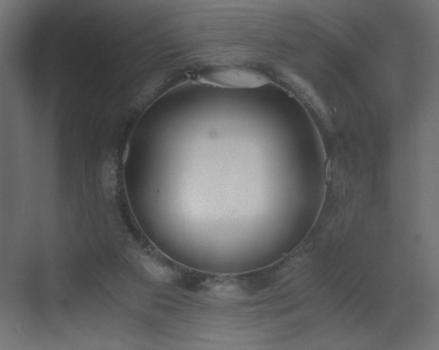 X0000073450113200607281231