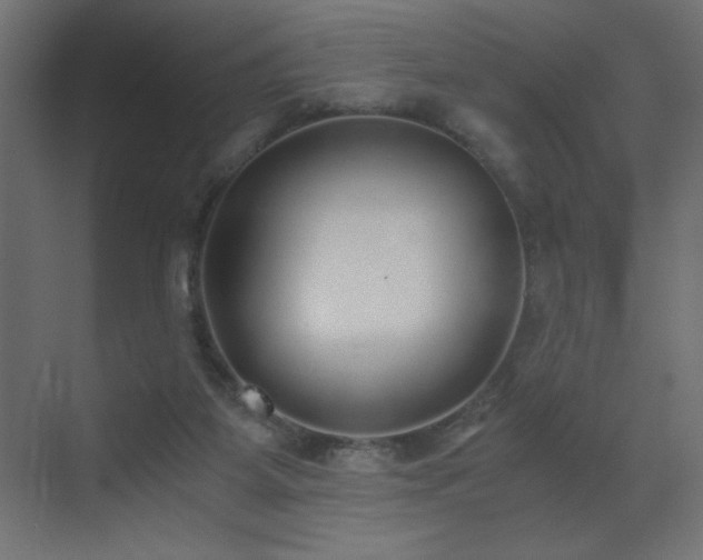 X0000073450115200607281231