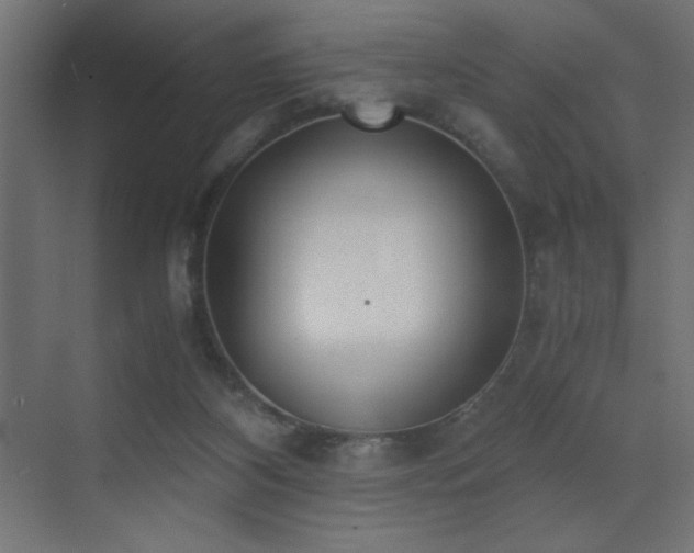 X0000073450116200607281231