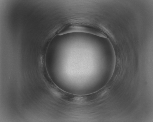 X0000073450117200607281231