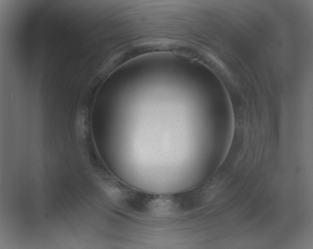 X0000073450119200607281231