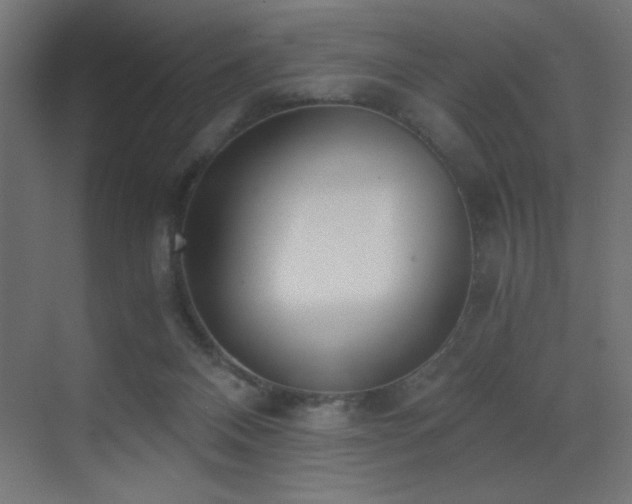 X0000073450120200607281231