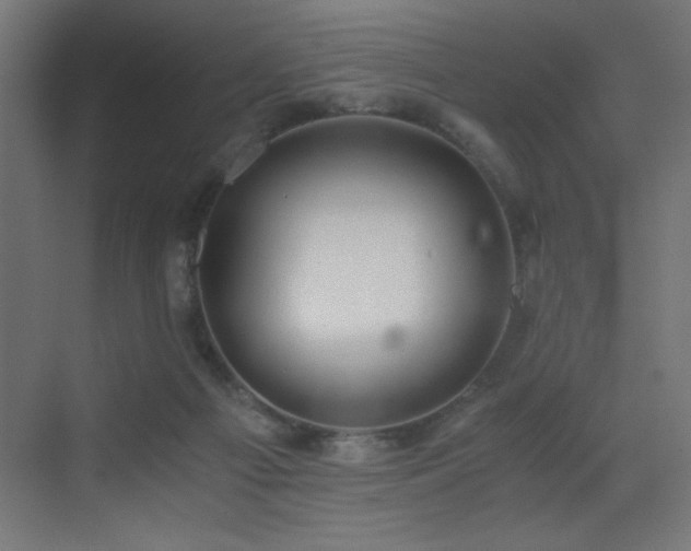 X0000073450121200607281231