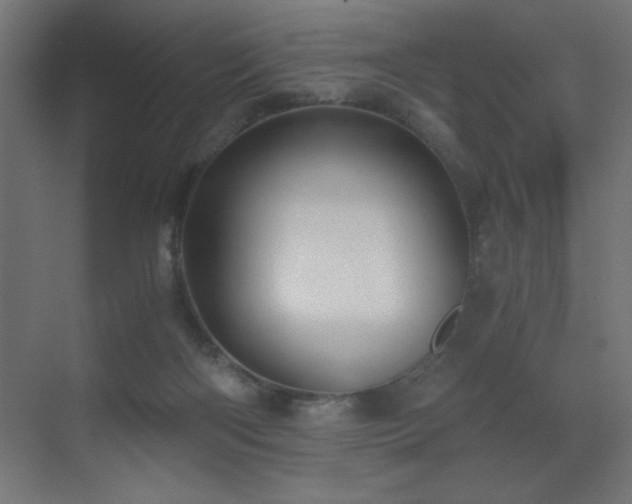 X0000073450122200607281231