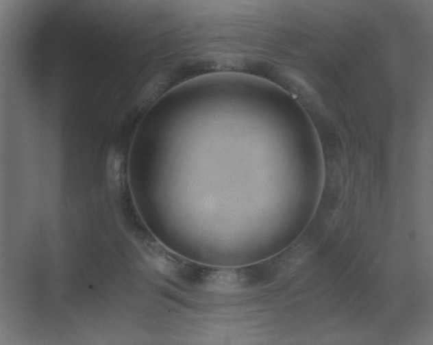 X0000073450123200607281231