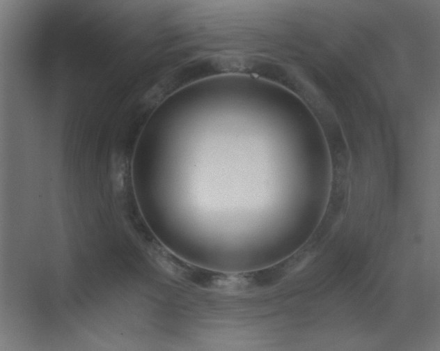 X0000073450125200607281231