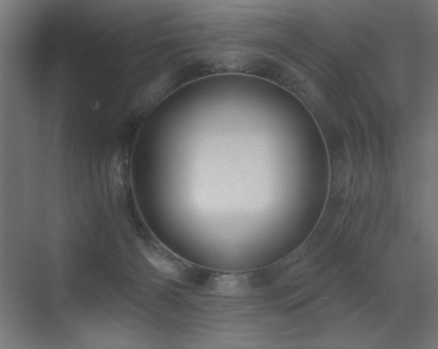 X0000073450126200607281231