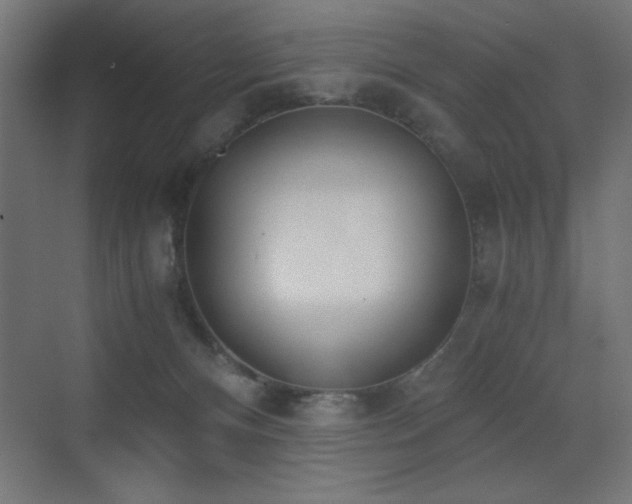 X0000073450128200607281231