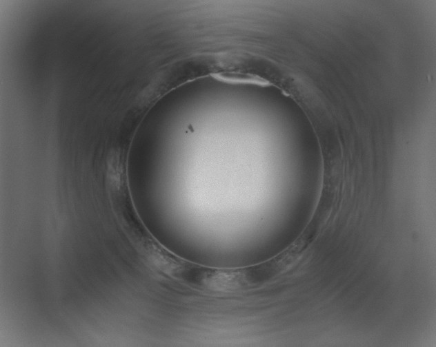 X0000073450129200607281231