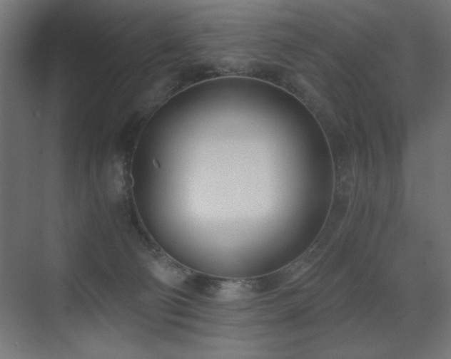 X0000073450130200607281231