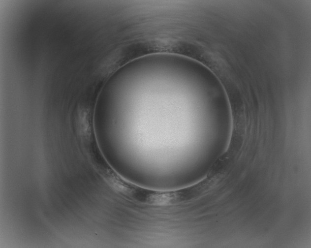 X0000073450131200607281231