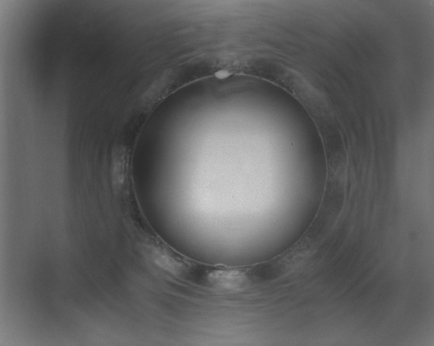 X0000073450133200607281231