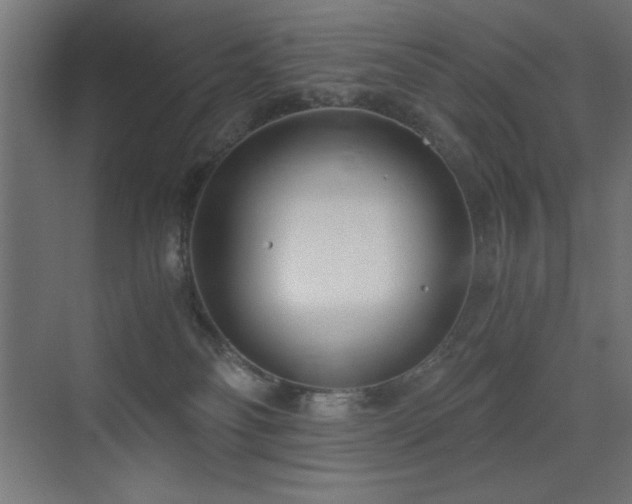 X0000073450134200607281231