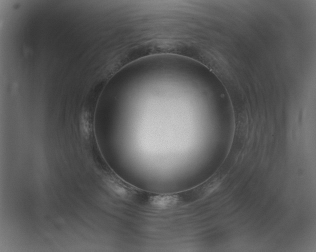 X0000073450135200607281231