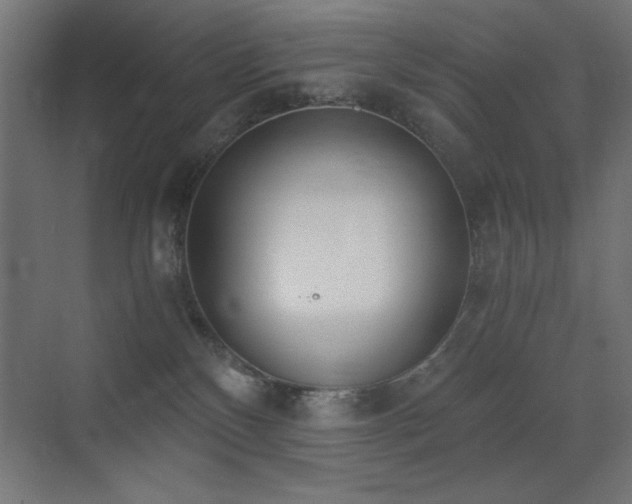 X0000073450136200607281231