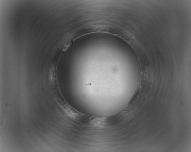 X0000073450138200607281231