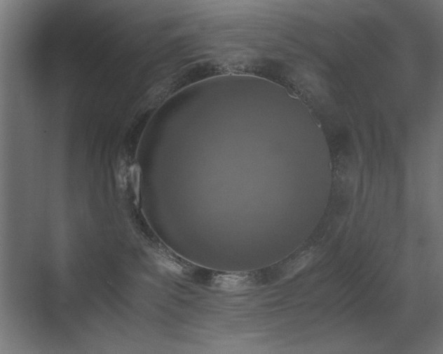 X0000073450139200607281231