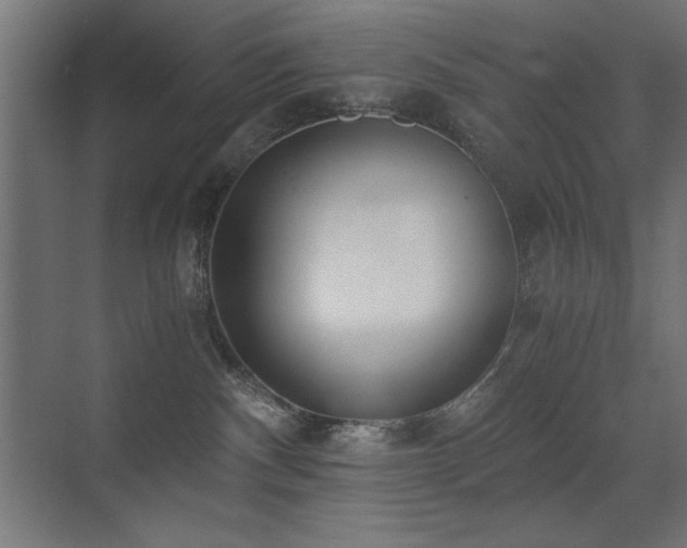 X0000073450140200607281231