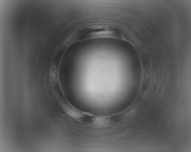 X0000073450141200607281231