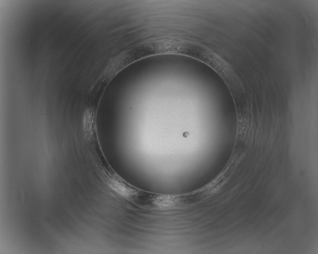 X0000073450142200607281231