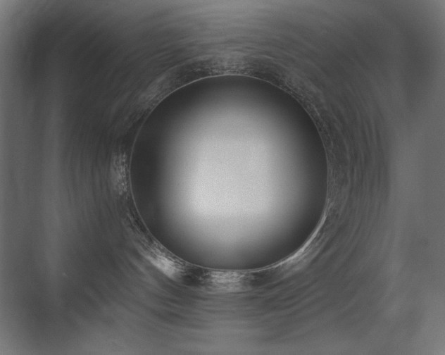 X0000073450144200607281231