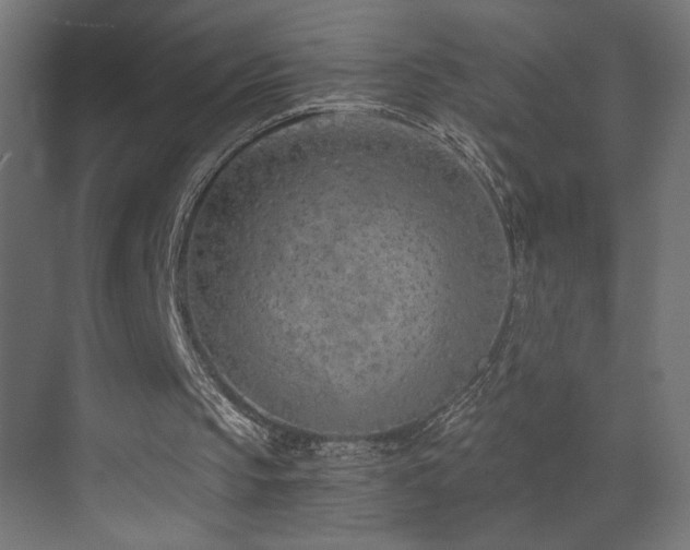 X0000073450145200607281230