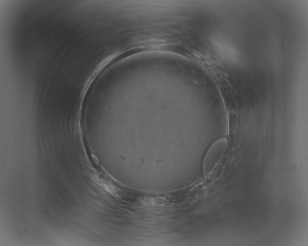 X0000073450147200607281230