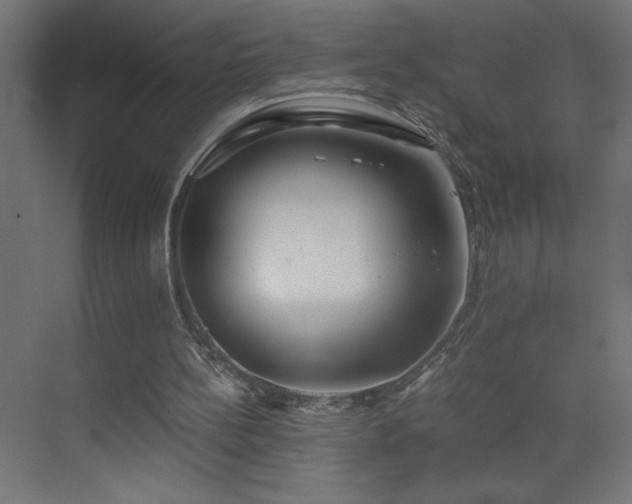 X0000073450148200607281230