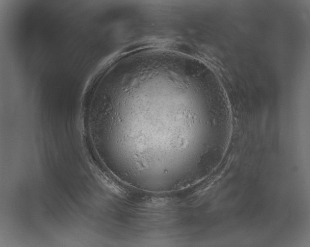 X0000073450149200607281230