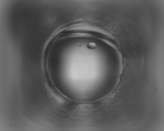 X0000073450150200607281230